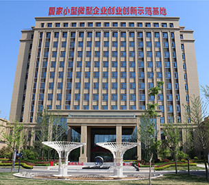 中青文化培训