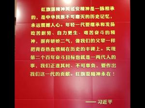 学习视频17