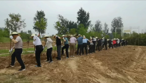 学习视频19