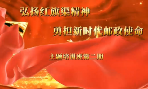 学习视频31